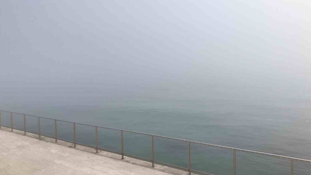 İstanbullular bu uyarıya kulak verin: Son derece riskli! Her yıl 44 bin kişi bu nedenle hayatını kaybediyor 16